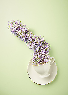 포토 JPG 스튜디오촬영 꽃 실내 따뜻함 사람없음 하이앵글 봄 찻잔 컵받침 오브젝트 감성 쏟아짐 초록배경 국내포토 식물 계절 뷰포인트 백그라운드 컨셉 모션 잔 내부 초록색 받침대 파일형식