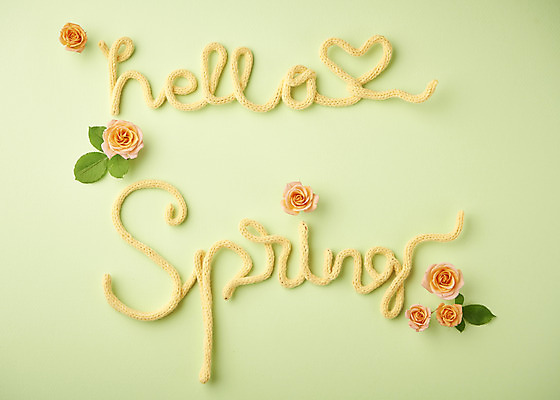 포토 JPG 스튜디오촬영 문자 영어 잎 실내 따뜻함 사람없음 하이앵글 장미 봄 오브젝트 감성 환영 플랫레이 초록배경 국내포토 식물 계절 꽃 뷰포인트 백그라운드 컨셉 내부 초록색 플랫 파일형식