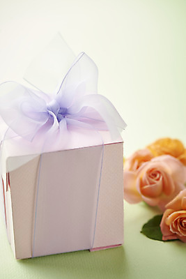 포토 JPG 스튜디오촬영 리본 실내 따뜻함 근접촬영 사람없음 선물상자 장미 봄 오브젝트 감성 초록배경 국내포토 계절 꽃 뷰포인트 백그라운드 컨셉 선물 내부 초록색 상자 파일형식