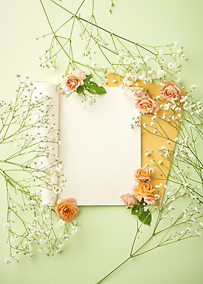 포토 JPG 스튜디오촬영 실내 따뜻함 사람없음 하이앵글 장미 공책 봄 오브젝트 감성 안개꽃 플랫레이 초록배경 국내포토 계절 꽃 뷰포인트 백그라운드 컨셉 문구용품 내부 초록색 플랫 한해살이풀 파일형식