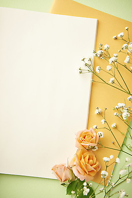 포토 JPG 스튜디오촬영 실내 따뜻함 사람없음 하이앵글 장미 공책 봄 오브젝트 감성 안개꽃 초록배경 국내포토 계절 꽃 뷰포인트 백그라운드 컨셉 문구용품 내부 초록색 한해살이풀 파일형식