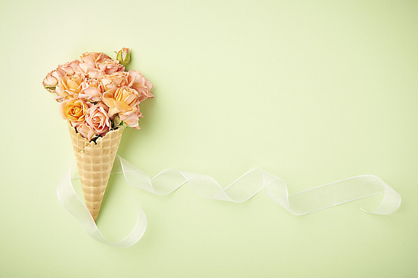 포토 JPG 스튜디오촬영 리본 실내 따뜻함 사람없음 하이앵글 장미 봄 오브젝트 감성 아이스크림콘 플랫레이 초록배경 국내포토 계절 꽃 뷰포인트 백그라운드 컨셉 내부 초록색 플랫 콘 파일형식