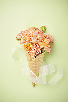 포토 JPG 스튜디오촬영 리본 실내 따뜻함 사람없음 하이앵글 장미 봄 오브젝트 감성 아이스크림콘 플랫레이 초록배경 국내포토 계절 꽃 뷰포인트 백그라운드 컨셉 내부 초록색 플랫 콘 파일형식