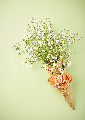 포토 JPG 스튜디오촬영 리본 실내 따뜻함 사람없음 하이앵글 장미 봄 오브젝트 감성 안개꽃 아이스크림콘 플랫레이 초록배경 국내포토 계절 꽃 뷰포인트 백그라운드 컨셉 내부 초록색 플랫 콘 한해살이풀 파일형식