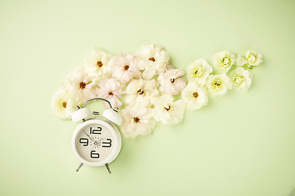 포토 JPG 스튜디오촬영 꽃 실내 따뜻함 사람없음 하이앵글 봄 자명종 오브젝트 감성 플랫레이 초록배경 국내포토 식물 계절 뷰포인트 시계 백그라운드 컨셉 내부 초록색 알람 플랫 파일형식