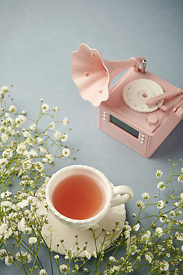 포토 JPG 스튜디오촬영 회색배경 실내 따뜻함 사람없음 봄 차 찻잔 컵받침 오브젝트 감성 안개꽃 축음기 국내포토 계절 꽃 음료 음향기기 백그라운드 컨셉 잔 내부 회색 골동품 받침대 한해살이풀 파일형식