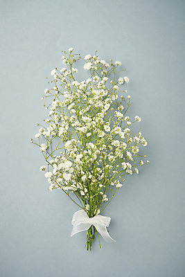 포토 JPG 스튜디오촬영 리본 회색배경 실내 따뜻함 사람없음 하이앵글 봄 오브젝트 감성 안개꽃 플랫레이 국내포토 계절 꽃 뷰포인트 백그라운드 컨셉 내부 회색 플랫 한해살이풀 파일형식