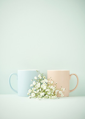 포토 JPG 스튜디오촬영 실내 따뜻함 사람없음 봄 머그컵 두개 오브젝트 감성 안개꽃 민트색배경 국내포토 계절 꽃 백그라운드 컨셉 2 내부 컵 민트색 한해살이풀 파일형식