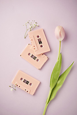 포토 JPG 스튜디오촬영 실내 따뜻함 사람없음 하이앵글 봄 튤립 카세트테이프 오브젝트 감성 보라색배경 플랫레이 국내포토 계절 꽃 뷰포인트 백그라운드 컨셉 내부 보라색 플랫 파일형식