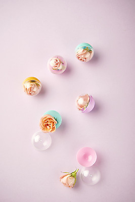 포토 JPG 스튜디오촬영 실내 따뜻함 사람없음 하이앵글 장난감 장미 여러개 봄 오브젝트 감성 보라색배경 뽑기 플랫레이 국내포토 계절 꽃 뷰포인트 다수 백그라운드 컨셉 내부 보라색 플랫 파일형식