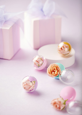 포토 JPG 스튜디오촬영 실내 따뜻함 사람없음 아웃포커스 선물상자 장난감 장미 봄 원형 오브젝트 감성 단상 보라색배경 뽑기 국내포토 도형 계절 꽃 백그라운드 컨셉 촬영기법 선물 내부 상자 보라색 파일형식