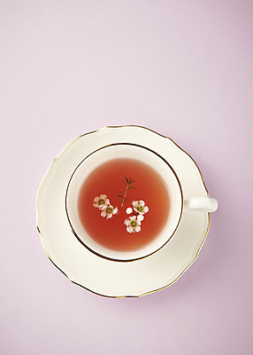 포토 JPG 스튜디오촬영 꽃 실내 따뜻함 사람없음 하이앵글 봄 차 찻잔 컵받침 오브젝트 감성 보라색배경 국내포토 식물 계절 음료 뷰포인트 백그라운드 컨셉 잔 내부 보라색 받침대 파일형식