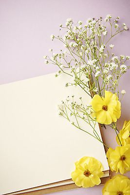 포토 JPG 스튜디오촬영 꽃잎 꽃 실내 따뜻함 사람없음 하이앵글 공책 봄 오브젝트 감성 안개꽃 보라색배경 국내포토 식물 계절 뷰포인트 백그라운드 컨셉 문구용품 내부 보라색 한해살이풀 파일형식