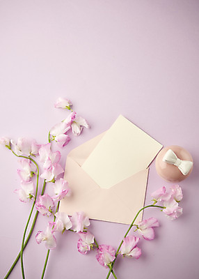 포토 JPG 스튜디오촬영 꽃 편지봉투 실내 따뜻함 사람없음 하이앵글 봄 편지지 오브젝트 감성 보라색배경 플랫레이 국내포토 식물 계절 뷰포인트 백그라운드 컨셉 봉투 내부 보라색 플랫 편지 파일형식