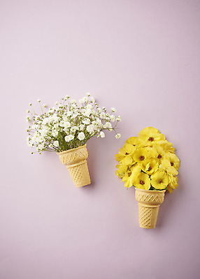 포토 JPG 스튜디오촬영 꽃 실내 따뜻함 사람없음 하이앵글 봄 오브젝트 감성 안개꽃 아이스크림콘 보라색배경 플랫레이 국내포토 식물 계절 뷰포인트 백그라운드 컨셉 내부 보라색 플랫 콘 한해살이풀 파일형식