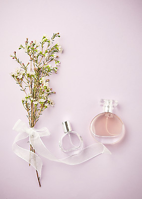 포토 JPG 스튜디오촬영 리본 실내 따뜻함 사람없음 하이앵글 봄 오브젝트 감성 꽃가지 보라색배경 향수병 플랫레이 국내포토 계절 꽃 뷰포인트 백그라운드 컨셉 내부 보라색 나뭇가지 플랫 향수 병_담는 파일형식