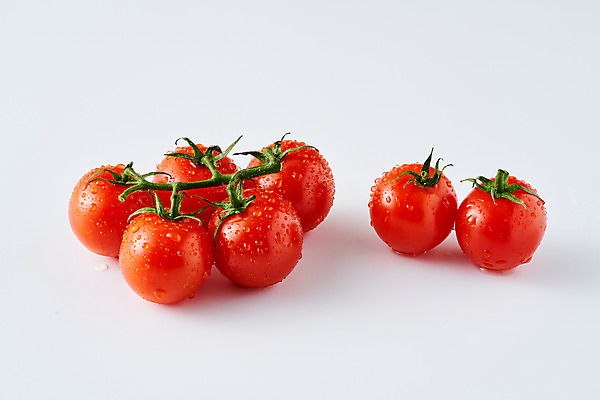 포토 JPG 스튜디오촬영 음식 토마토 채소 식재료 방울토마토 디저트 실내 사람없음 물방울 신선 흰배경 국내포토 백그라운드 내부 흰색 파일형식