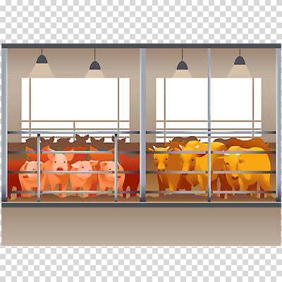 편집이미지 여러마리 누끼 사람없음 가축 돼지 소 축산업 축사 PNG 방역 편집소스 동물 건축물 산업 다수 포유류 파일형식