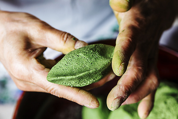 포토 JPG 주간 손 떡 실내 들기 신체부위 전라남도 모시 특산물 송편빚기 영광군 국내포토 자연요소 모션 사람 내부 추석 직물 전라도 요리중 파일형식