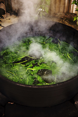 포토 JPG 주간 실내 사람없음 솥 특산물 강원도 곤드레 정선 데치기 산나물 국내포토 자연요소 주방용품 한국 요리 내부 나물 파일형식