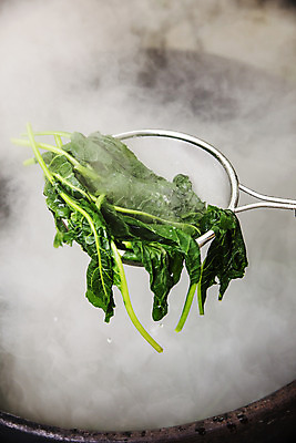 포토 JPG 주간 실내 들기 사람없음 채망 수증기 특산물 강원도 곤드레 정선 데치기 산나물 국내포토 자연요소 모션 주방용품 한국 요리 내부 나물 파일형식