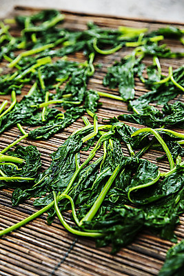 포토 JPG 주간 사람없음 야외 특산물 강원도 곤드레 정선 데치기 산나물 국내포토 자연요소 한국 요리 나물 파일형식