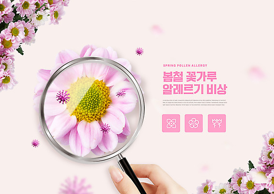 PSD 편집이미지 손 분홍색 돋보기 들기 타이포그라피 신체부위 봄 확대 마거리트 꽃가루알레르기 이미지편집 문자 계절 꽃 컬러 모션 사람 알레르기 파일형식