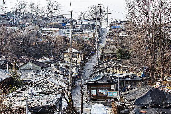 포토 JPG 주간 나무 서울 기와집 사람없음 야외 마을 전봇대 국내여행 달동네 국내포토 자연요소 식물 공공시설 여행 한옥 한국 파일형식