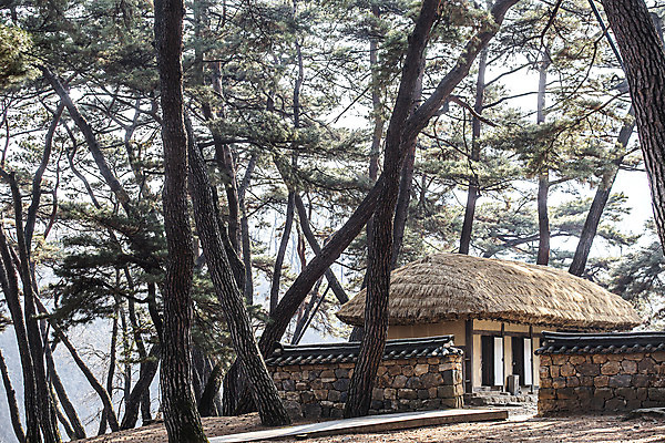 포토 JPG 주간 유적지 한옥 초가집 사람없음 야외 소나무 국내여행 영월 기와담장 청령포 단종어소 국내포토 자연요소 나무 한국전통 여행 고건축 기와 담장 강원도 명승지 파일형식