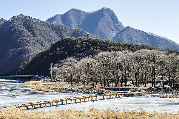 포토 JPG 주간 나무 겨울 자연 산 사람없음 야외 강 얼음 숲 국내여행 섶다리 영월 겨울풍경 국내포토 자연요소 식물 계절 여행 풍경 생태계 강원도 파일형식