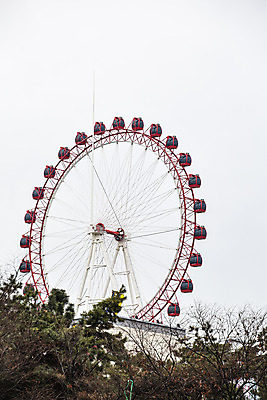 포토 JPG 주간 나무 하늘 사람없음 야외 놀이공원 대관람차 국내여행 대구시 국내포토 자연요소 식물 여행 한국 테마파크 놀이기구 파일형식