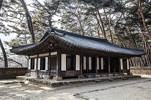 포토 JPG 주간 전통문화 한옥 사람없음 야외 소나무 국내여행 영월 청령포 단종어소 국내포토 자연요소 나무 한국전통 전통 문화 여행 고건축 강원도 명승지 파일형식