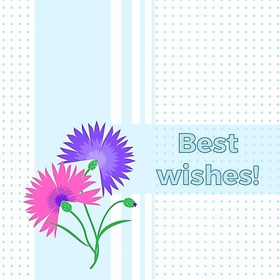 EPS 해외이미지 디자인 꽃잎 잎 꽃무늬 일러스트 사람없음 라벨 봄 수레국화 전국 해외202004 해외일러스트 식물 계절 꽃 무늬 프레임 파일형식 벡터