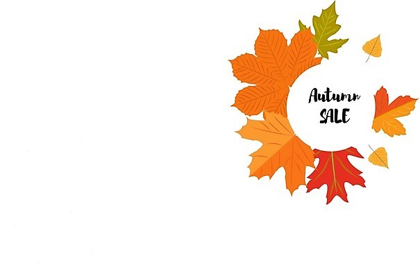 EPS 해외이미지 템플릿 디자인 단풍 잎 꽃무늬 일러스트 사람없음 라벨 세일 밤 해외202004 해외일러스트 식물 꽃 무늬 프레임 견과류 파일형식 벡터