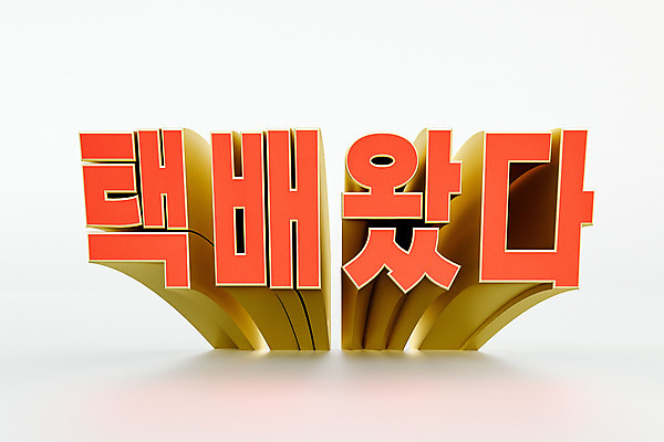 PSD 편집 편집이미지 타이포그라피 사람없음 쇼핑 3D소스 3D 디지털합성 택배 설렘 입체문자 편집소스 유행어 편집3D 문자 유행 운송업 파일형식