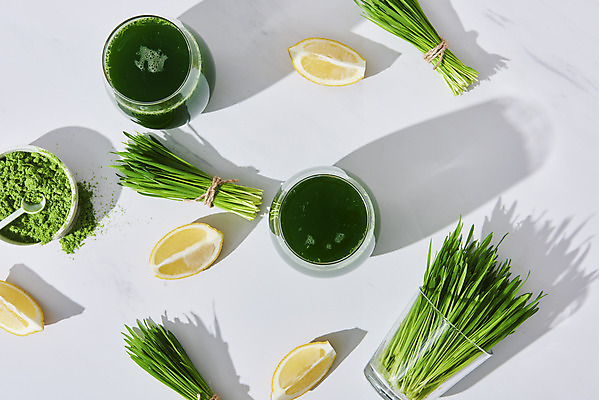 포토 JPG 스튜디오촬영 잔 실내 그림자 사람없음 하이앵글 가루 레몬 흰배경 건강식 녹즙 플랫레이 밀싹 해독주스 국내포토 식기 음식 뷰포인트 백그라운드 과일 내부 새싹 주스 흰색 플랫 즙 파일형식