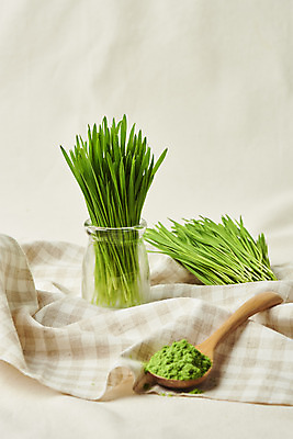 포토 JPG 스튜디오촬영 유리병 실내 사람없음 가루 천 나무숟가락 건강식 밀싹 국내포토 음식 병_용기 내부 새싹 숟가락 직물 파일형식