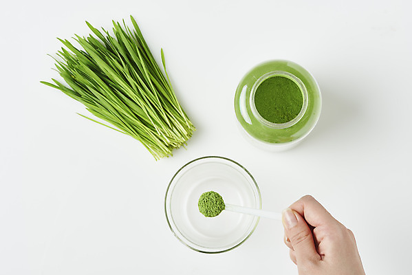 포토 JPG 스튜디오촬영 손 잔 실내 들기 신체부위 하이앵글 숟가락 가루 흰배경 건강식 밀싹 국내포토 식기 음식 뷰포인트 백그라운드 모션 수저 사람 내부 새싹 흰색 파일형식