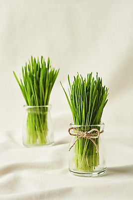 포토 JPG 스튜디오촬영 유리병 실내 사람없음 천 담기 건강식 베이지색배경 밀싹 국내포토 음식 백그라운드 모션 병_용기 내부 새싹 직물 베이지색 파일형식