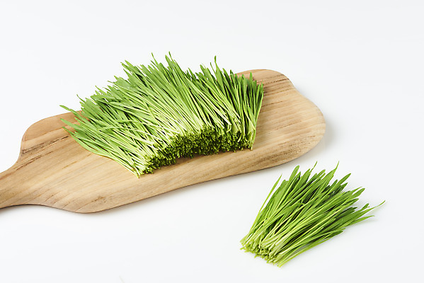 포토 JPG 스튜디오촬영 실내 사람없음 흰배경 건강식 나무도마 밀싹 국내포토 음식 백그라운드 도마 내부 목재 새싹 흰색 파일형식