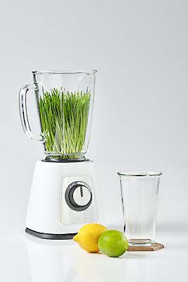 포토 JPG 스튜디오촬영 잔 실내 사람없음 레몬 믹서 흰배경 담기 라임 건강식 밀싹 국내포토 식기 음식 백그라운드 과일 모션 내부 새싹 흰색 파일형식