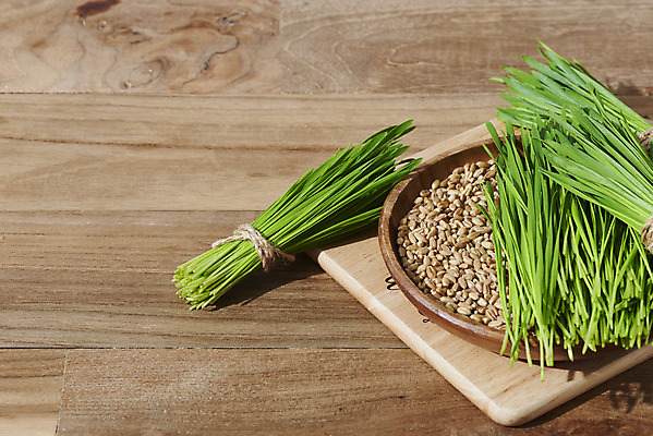 포토 JPG 스튜디오촬영 실내 씨앗 사람없음 다발 담기 건강식 나무도마 나무배경 밀싹 국내포토 식물 음식 백그라운드 모션 도마 내부 목재 새싹 파일형식