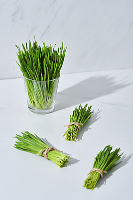 포토 JPG 스튜디오촬영 잔 실내 그림자 사람없음 다발 흰배경 담기 건강식 밀싹 국내포토 식기 음식 백그라운드 모션 내부 새싹 흰색 파일형식