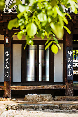 포토 JPG 주간 나무 한옥 사람없음 야외 한자 소프트포커스 전라남도 창호문 나주 국내포토 자연요소 식물 문자 한국전통 고건축 촬영기법 문 전라도 파일형식