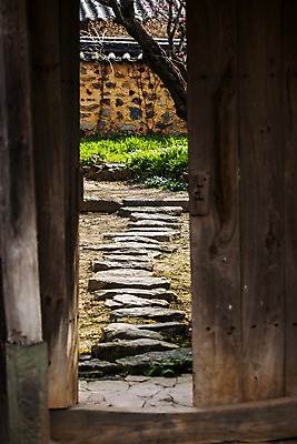 포토 JPG 주간 한옥 사람없음 야외 문 전라남도 대문 나주 기와담장 국내포토 자연요소 한국전통 고건축 기와 담장 전라도 파일형식