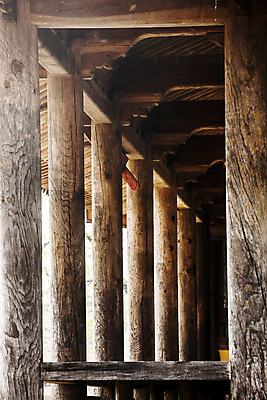 포토 JPG 주간 사람없음 야외 문화재 전라남도 나무기둥 나주 국내포토 자연요소 전라도 파일형식