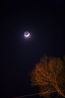 포토 JPG 나무 밤하늘 실내 사람없음 야외 달 야간 초승달 전라남도 나주 국내포토 자연요소 식물 하늘 내부 전라도 파일형식