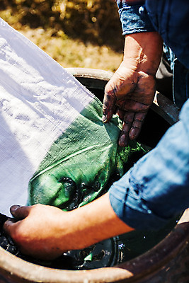 포토 JPG 주간 손 야외 신체부위 잡기 전라남도 천 대야 염색 천연염색 나주 국내포토 자연요소 모션 사람 직물 전라도 파일형식