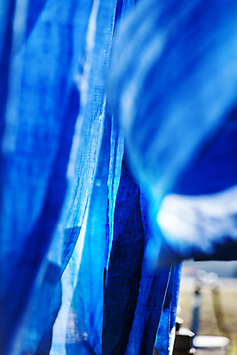 포토 JPG 주간 근접촬영 사람없음 야외 아웃포커스 소프트포커스 전라남도 천 나주 국내포토 자연요소 뷰포인트 촬영기법 직물 전라도 파일형식