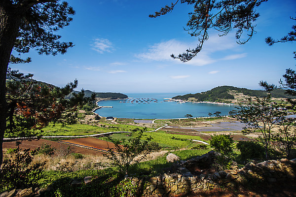 포토 JPG 주간 나무 구름 바다 섬 하늘 풍경 사람없음 야외 전라남도 완도 국내포토 자연요소 식물 전라도 파일형식
